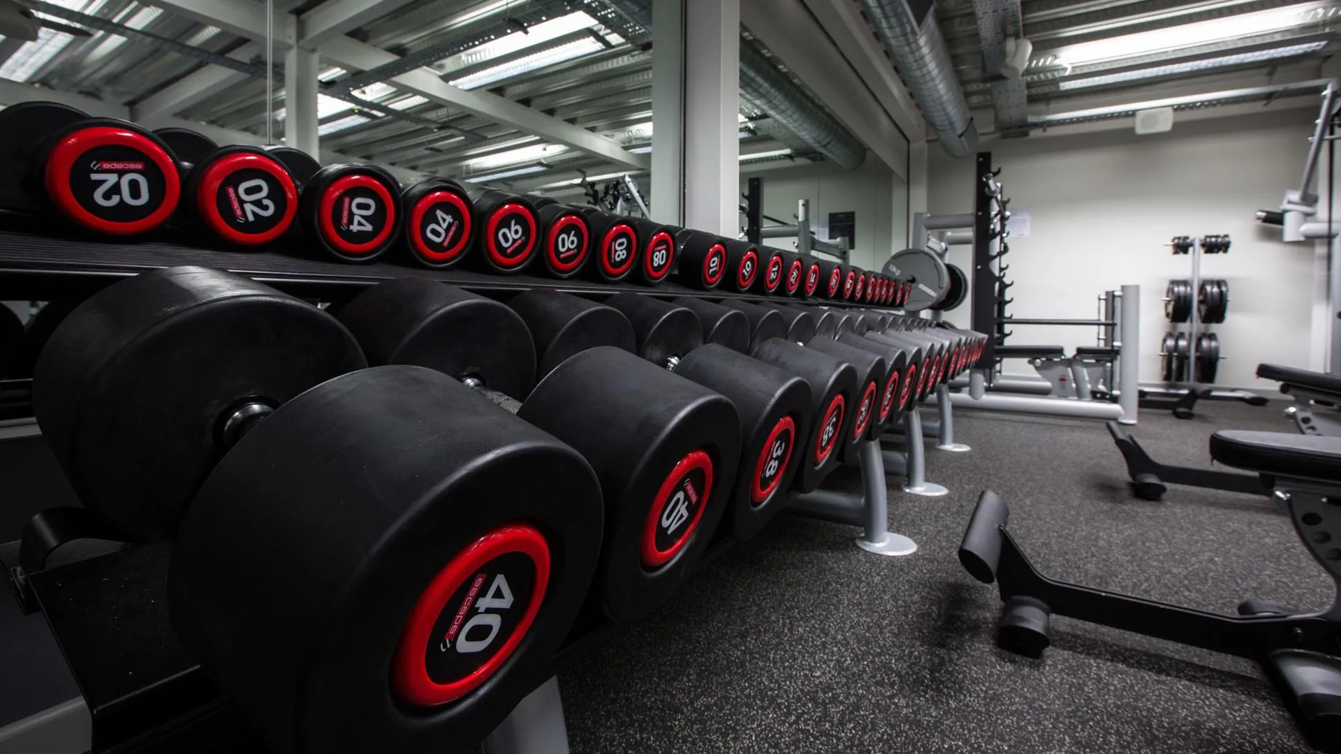Rows of heavy dumbbells on racks inside IronPeak Fitness gym